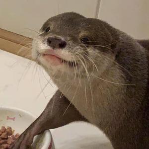 "shot" [free] freestyle type beat