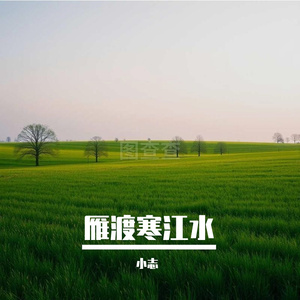 雁渡寒江水