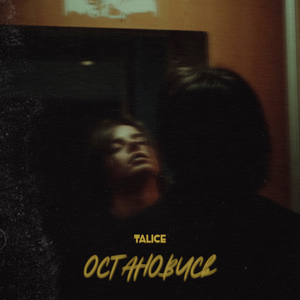 Остановись