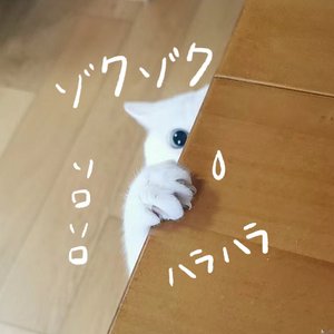 ホントのアタシ