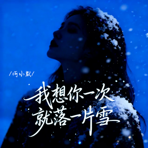 我想你一次就落一片雪