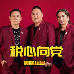 税心向党