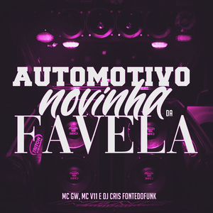 Automotivo Novinha da Favela