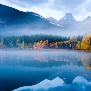 流水蛙鸣纯音乐 催眠曲5分钟入睡