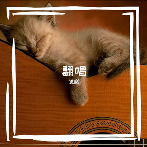 声声慢（cover崔开潮）（翻自 刘婷雪）