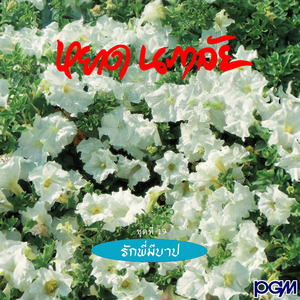 เหมือนคนละฟากฟ้า