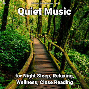 Quiet Music Pt. 4