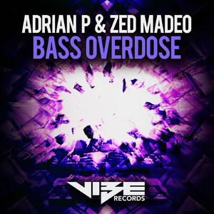 Bass Overdose (Original Mix)