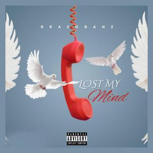 Lost My Mind (feat. Litahontas)