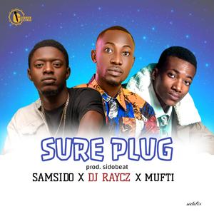 Sure Plug (feat. Dj Raycz & Mufti)