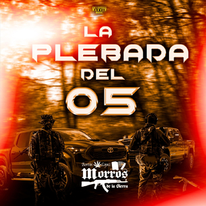 La Plebada del 05