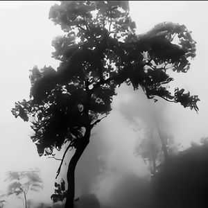 Lofi Type Beat ＂ 缘 为 冰 ＂