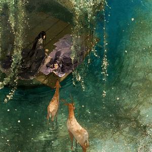 阙风沙（翻自 音频怪物）