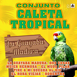 Quiero Bailar una Cumbia