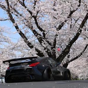 Stay The Night(0.6x) - Cj-ZiRong