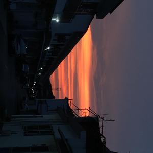 卫星Satellite (live)