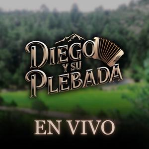 SERCH (En vivo)