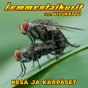 Kesä ja kärpäset
