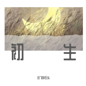 一生所爱-会飞的石头