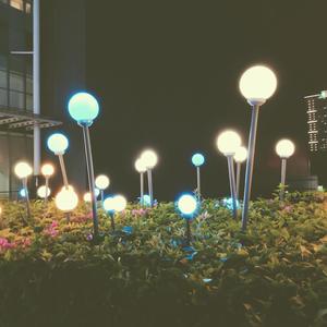 一起青春的日子（cover北京东路的日子）