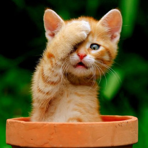 Last Friday Night (slowed)