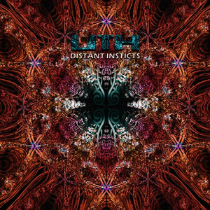 Reflections Of Consciousness