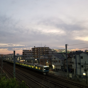 그래도 행복했다