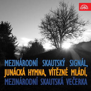 Mezinárodní skautský signál