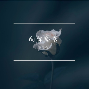 《向你坠落》（Cover：何洁）