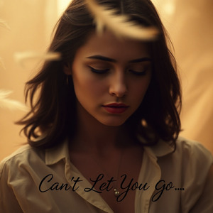 Can't Let You Go