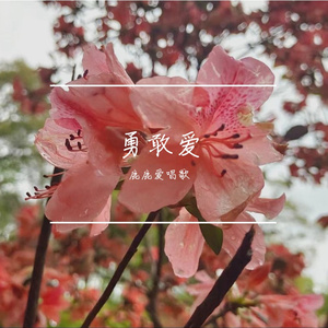 藏在你的名字里