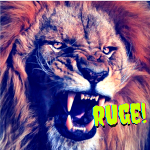 Ruge
