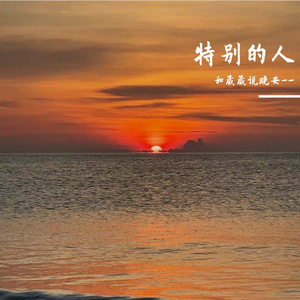 特别的人