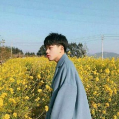 你是我的小公主 (DJ版)