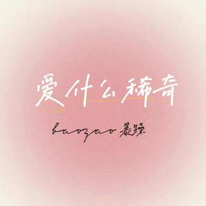 爱什么稀奇（prod.葵）