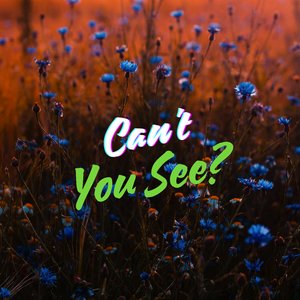 Can't You See