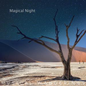 Magical Night