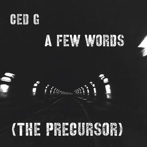 A Few Words Freestyle