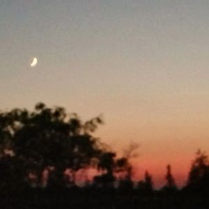 发廊（Prod.Meecro）