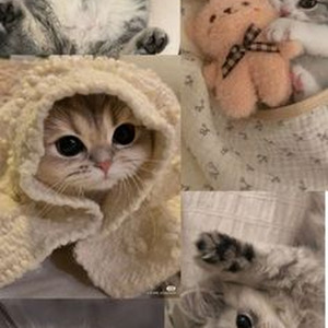 Dernière Danse slowed