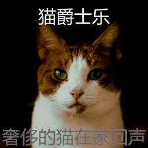 诗意的小猫节奏