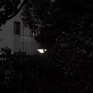 新时尚引领的潮流