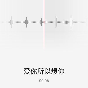 爱你所以想你……