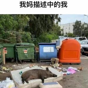 可不可以