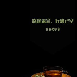 路途未完，行囊已空
