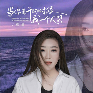 当你离开的时候我一个人哭 (DJBanan版)