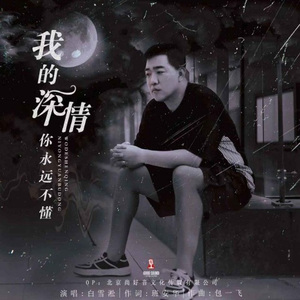 我的深情你永远不懂