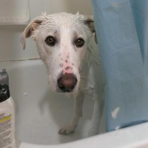 Dr. Christina Aid...