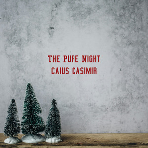 The Pure Night