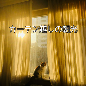 カーテン越しの朝光